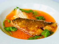 【3-5月】鰆の発酵唐辛子煮込み・名物担担麺入りコース／飲み放題付 6,000円