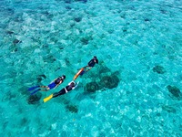 【Hotel Guest】Boat Snorkel tour 90min Adult/Child (season B）_2026 3/20-4/5, 4/25-5/10, 7/1-9/30