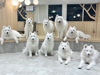 ≪평일≫ 통상 티켓(50분)