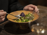 森ノDINNER　森コース