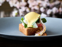 【Sakura Branch】 Tomato Fair