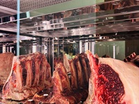 3/6〜sio Aoyama Seasonal Dinner Course 【メインサカエヤ和牛】【テーブル席】