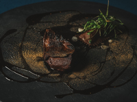 3/6〜  sio Aoyama Seasonal Dinner Course 【メイン鳩】 【テーブル席】