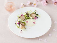 【벚꽃×봄의 미각을 만끽】벚꽃 만들기의 프렌치 코스(3/23~30,4/1,4/3~4/5)