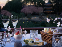 Twilight Sakura Terrace（日～木）