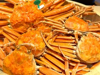 《京都美食めぐり2026春》特別限定エクスクルーシブディナーコース　※ワンドリンク付き