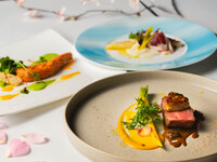 [Ricerca] Italian course exploring Hyogo in spring