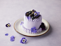 【テイクアウト】バレンタイン パープルホワイトチョコレート・ストロベリーショートケーキ　12cm