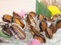 ディナー　“Abalone” 