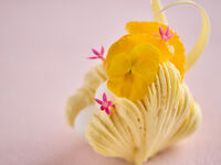 【店頭お支払い】ムラングシャンティ ～ミモザ～