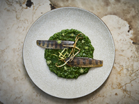 [Weekend & Public Holiday Lunch] 6-course meal including Okayama Peach Pork and Sakushu Black Bean Pate PIMIENTO
