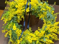 【特別プラン】 ミモザリース製作特別レッスン  & Lunch Set B　【11:30枠】