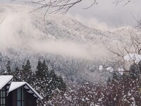 <夕朝食付2名>木の温もりあふれる広々コテージ一軒家