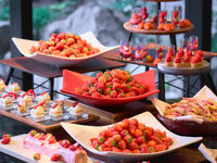 "Kyoto Gourmet Tour 2026 Spring" Weekend Brunch with a choice of main course and dessert buffet, and free-flowing drinks