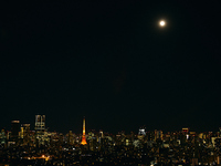 【情人節特惠套餐】僅限靠窗座位 + 含情人節祝福語套餐（8道菜）10,000日元