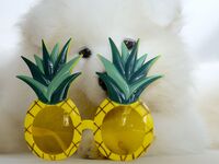 좌석만(오키나와현 민할)