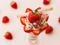 【平日限定】いちごのパフェランチ 第二弾