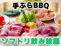 D.肉屋のBBQ 手ぶらプラン(ソフドリ飲み放題)