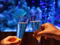 [B] Standard Dinner Course: 7 dishes + "All-you-can-drink beer"