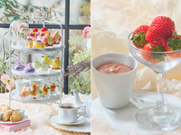 ＜特別会場へご案内＞【フレッシュ苺付】フラワーマルシェアフタヌーンティー（平日）