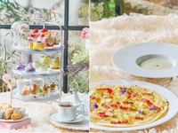 【土日 ピザランチプラン（わんちゃん同伴有）】大人/中学生以上フラワーマルシェアフタヌーンティー