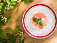 【メインが選べる贅沢ランチ】Stagione（5plates）