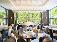 【個室確約】表参道の緑と季節の一皿に誘われて！プレミアムプラン＋2時間飲み放題（11～32名）