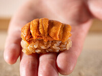 《Limited to 4 people per day》Special course featuring fatty tuna hand rolls and sea urchin