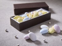 ドラジェビジュー