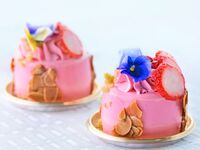 【春のプチガトースペシャリテ】プランタン