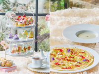 犬同伴【ピザランチ】フラワーマルシェアフタヌーンティー (土日祝)