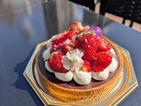 발렌타인 한정 교토의 방울만을 사용한 생초코 타르트(15센치)