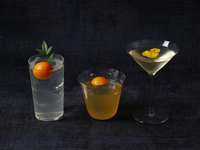 Seasonal Fruits Cocktails "Kinkan"