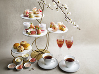 JW Strawberry Afternoon Tea ~White Strawberries and Cherry Blossoms~ -High Table-