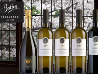 ドラゴン会員【The Rose Residence】イタリア「Balan」ワインと 山川俊樹シェフのお花見賞味会