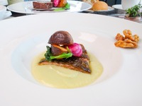 【3-4月】ディナーコース"Santé -サンテ-"