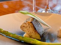 3/6- 春の昼懐石　ヒレテーキ60g｜平日カード会員様限定｜当日入会可