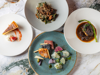 [Lunch PRANZO・S] Appetizer, hot dish, pasta, choice of main course, dessert, total of 6 dishes