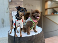 🐶【小型犬OK!!】わんちゃんとご来店はこちらを選択・確認ください。※選択ない場合、お席の都合上、ご入店できない場合がございます。