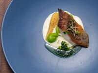 Seasonal「シーズナル」（ヒレ70g）