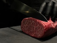 期間限定 ３・４月　あやめコース