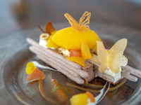 Seasonal Dessert Set