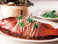 3月12日～個室2時間利用★【予約制】伝統と革新のコース　精選17,000円