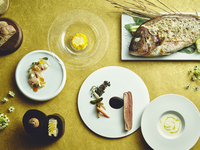 【Celebration Plan】 Standard Plan (with Free-Flow Drinks)