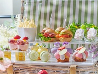 【平日ピクニックプラン（わんちゃん同伴有）】大人/中学生以上