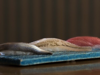 〈寿司：SUSHI〉 お手軽寿司ランチ【由良川 ～YURAGAWA～】4.1～