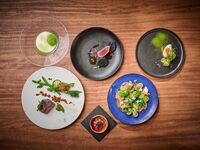 [Signature Dinner Course] Char-grilled venison and beef tenderloin – a feast of ingredients from across Kyushu. 7 courses total.