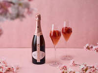 CHANDONロゼカクテルと彩る、桜づくしのコース（乾杯酒シャンドンカクテル付き）