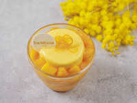 ◎HAPPY WOMAN◎マスカルポーネマンゴー　