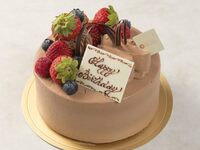 Chocolate Cream Cake 18cm 